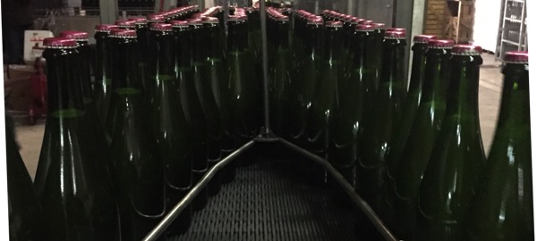 Avril- Mise en bouteille des vins de la vendange 2014