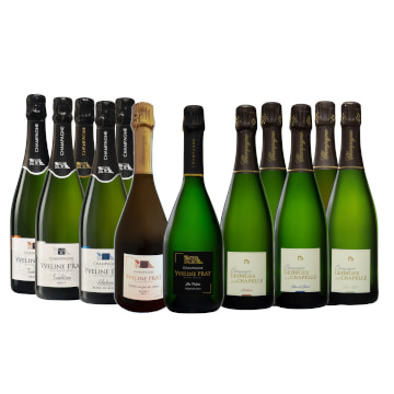 Acheter un champagne de vigneron en ligne &agrave; un bon rapport qualit&eacute; prix