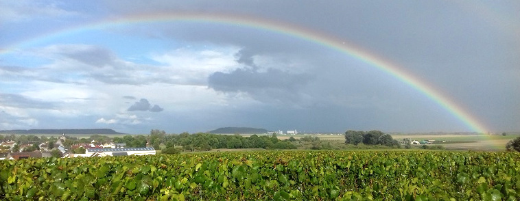 Tous nos Champagnes &agrave; prix cocooning