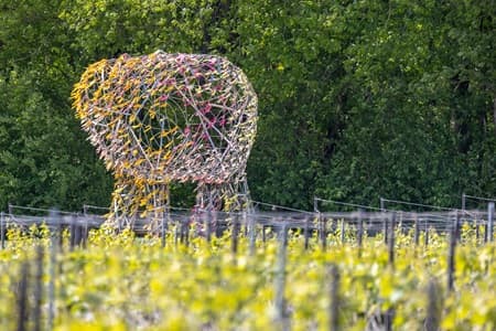Champagne aux aromes bois&eacute;s