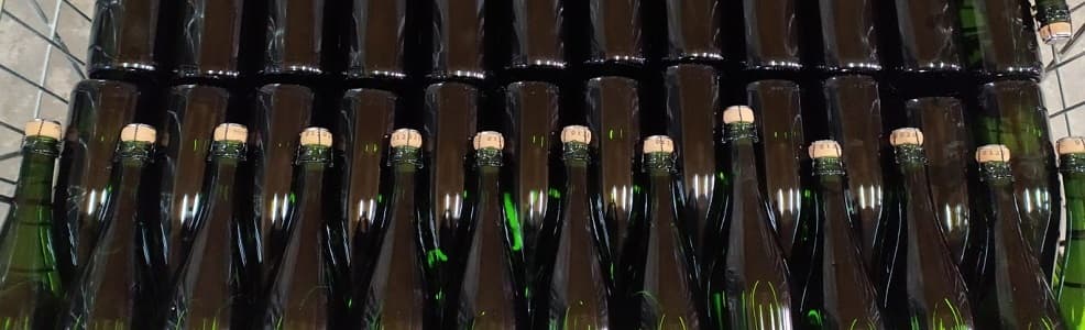 Bouteilles de Champagne petit producteur