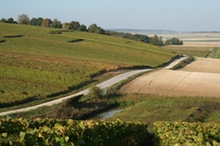 Bassin de r&eacute;tention d'eau dans les vignes de Champagne