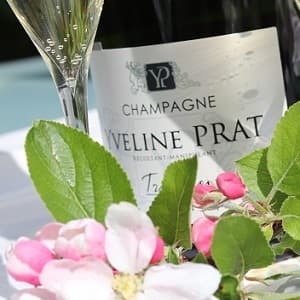 Champagne pour la fete des meres idee cadeau