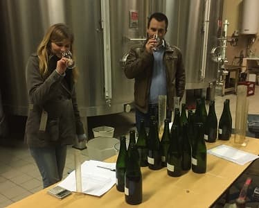 D&eacute;gustation des vins clairs avant assemblage des champagnes