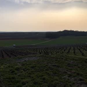 Fin de journ&eacute;e avec un coucher de soleil pour un vigneron en Champagne