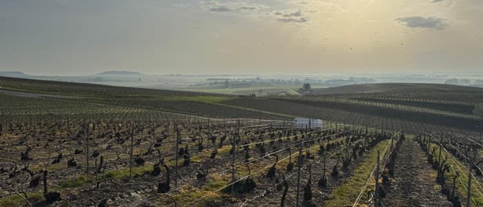 Recoltant manipulant en champagne decembre
