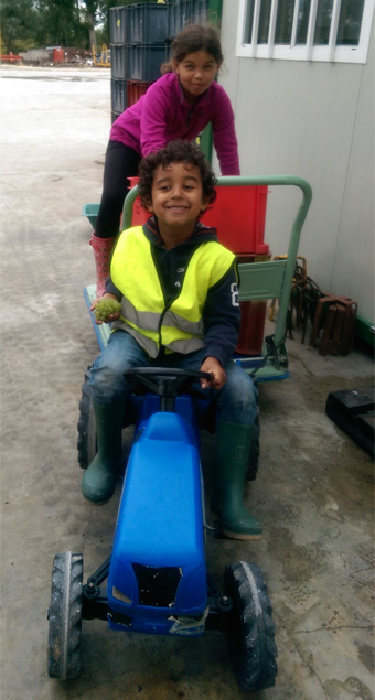 Livraison express par nos petits vendangeurs