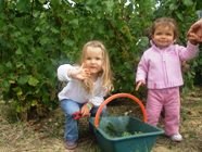Petites vendangeuses champagne prat 2007