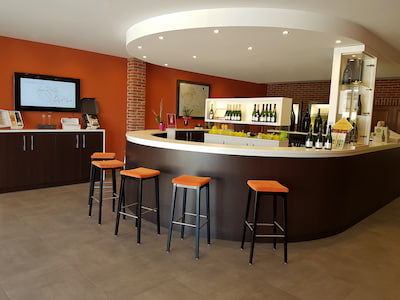 Visite cave de Champagne de petit producteur