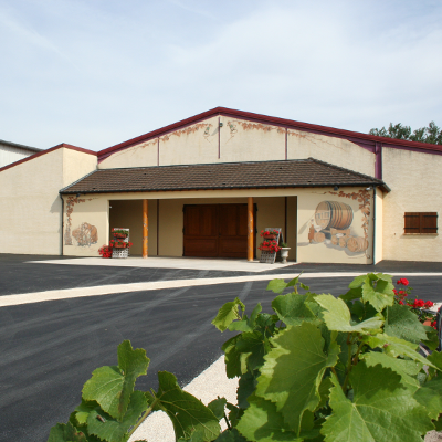 Les caves en champagne