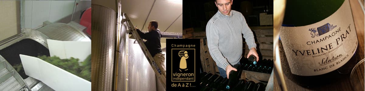 Le travail en cave pour un vigneron ind&eacute;pendant en Champagne