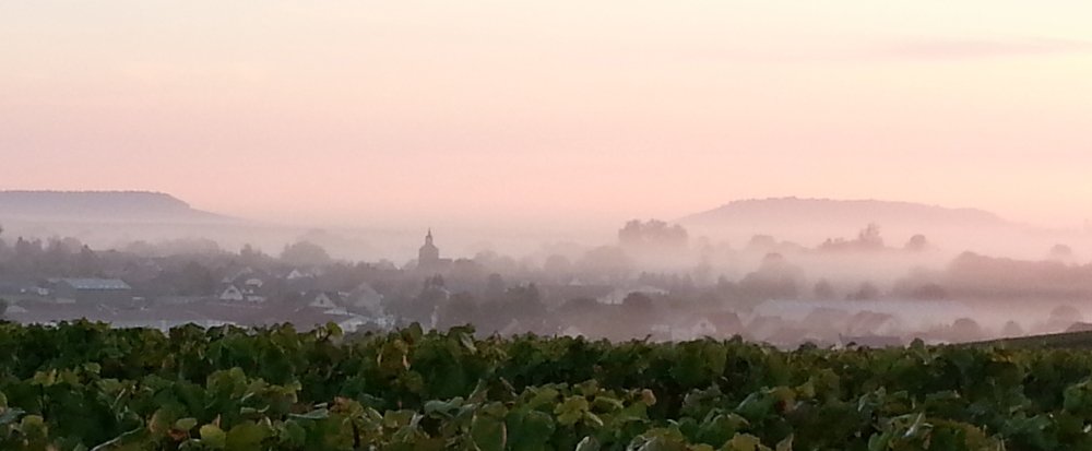 Le petit village de Vert-Toulon en Champagne