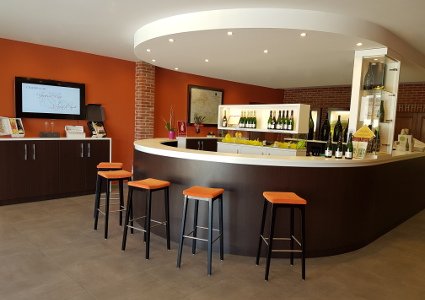 Visite cave de champagne de vigneron ind&eacute;pendant