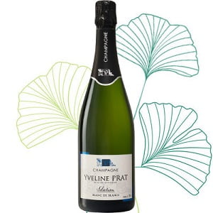 champagne blanc de blanc