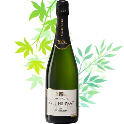 Tr&egrave;s bon Champagne mill&eacute;sime 2019 champagne haut de gamme de producteur  