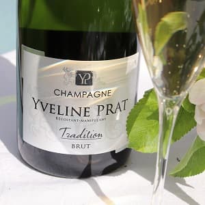 Champagne brut avec flutes de champagne en cadeau