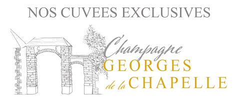 Meilleur champagne de vigneron RM Georges de la Chapelle