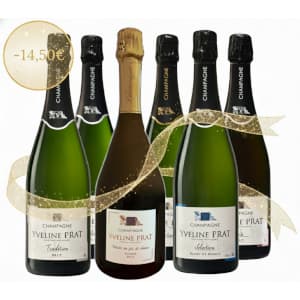 Promotion Champagne de producteur Yveline Prat tester nos champagnes avant une commande 