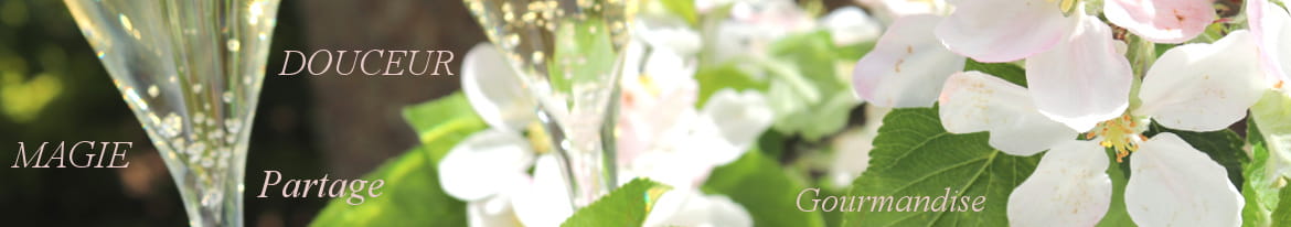 Champagne pour la f&ecirc;te des m&egrave;res id&eacute;e cadeau