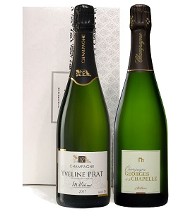 Coffret de champagne mill&eacute;sime 2 bouteilles pour un cadeau de luxe 