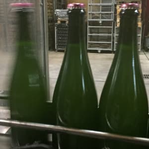 Le champagne est en bouteille! Bientot de bons et d&eacute;licieux champagnes