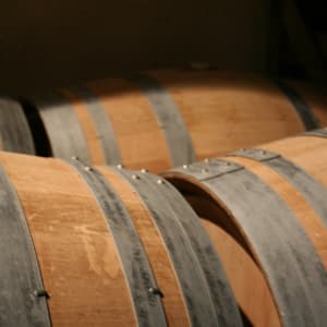 Vieillissement des vins en F&ucirc;ts de ch&ecirc;ne Champagne Yveline Prat
