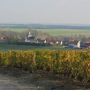 Nos caves dans le petit village de Vert Toulon &agrave; cot&eacute; d Epernay