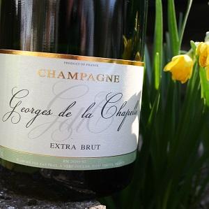 Champagne extra brut frais et printanier direct producteur
